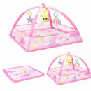 # PREMIUM BABY GIMNASIO PELOTERO C/ACTIVIDADES ESTIMULAR & FORTALECER R.N-18MESES GRIS / ROSA - PB-E301