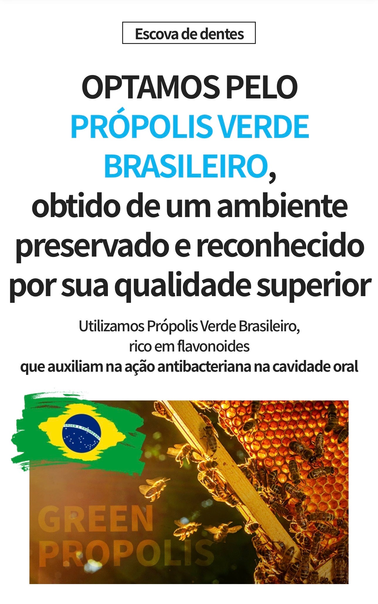 🦷 ATOMY ORAL CARE SYSTEM
Kit portátil para un cuidado bucal completo 🇰🇷💚
