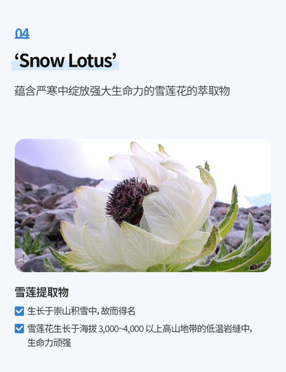 Atomy Absolute Snow set x5 ✨
Sistema Premium de Iluminación, Hidratación Profunda y Unificación del Tono de la Piel 🩵