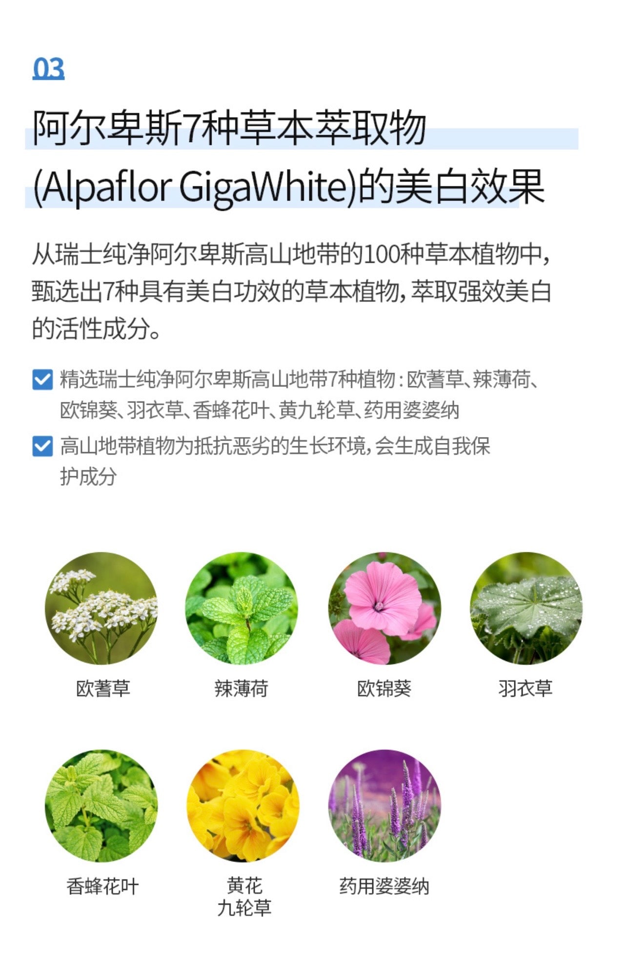 Atomy Absolute Snow set x5 ✨
Sistema Premium de Iluminación, Hidratación Profunda y Unificación del Tono de la Piel 🩵
