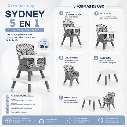 Premium Baby Silla de Alimentación Sydney 5en1 6-25kg