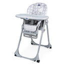 CHICCO SILLA DE COMER POLLY EASY JIRAFA 6-15KG 79565-84 - 140169